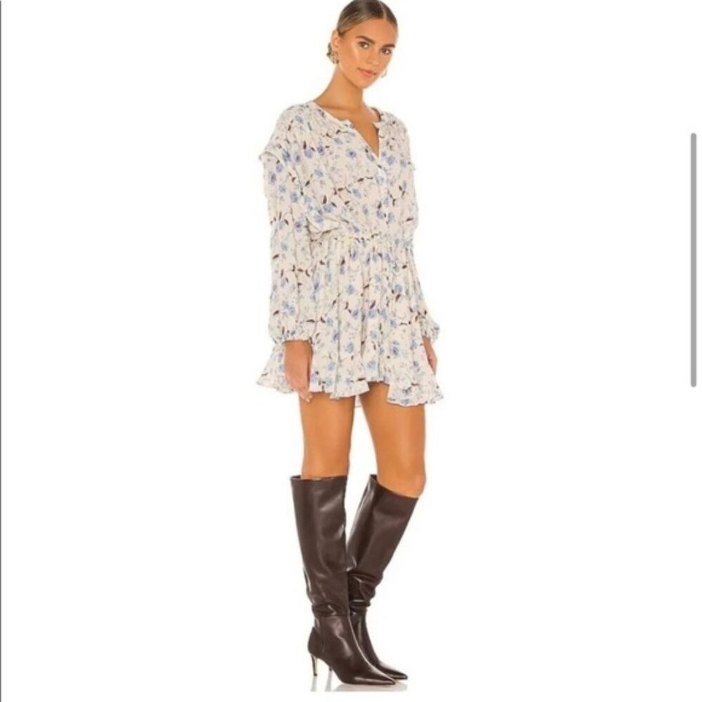 Free People Flower Fields Long Sleeve Button Mini Dress